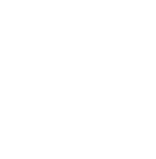 OneMesh